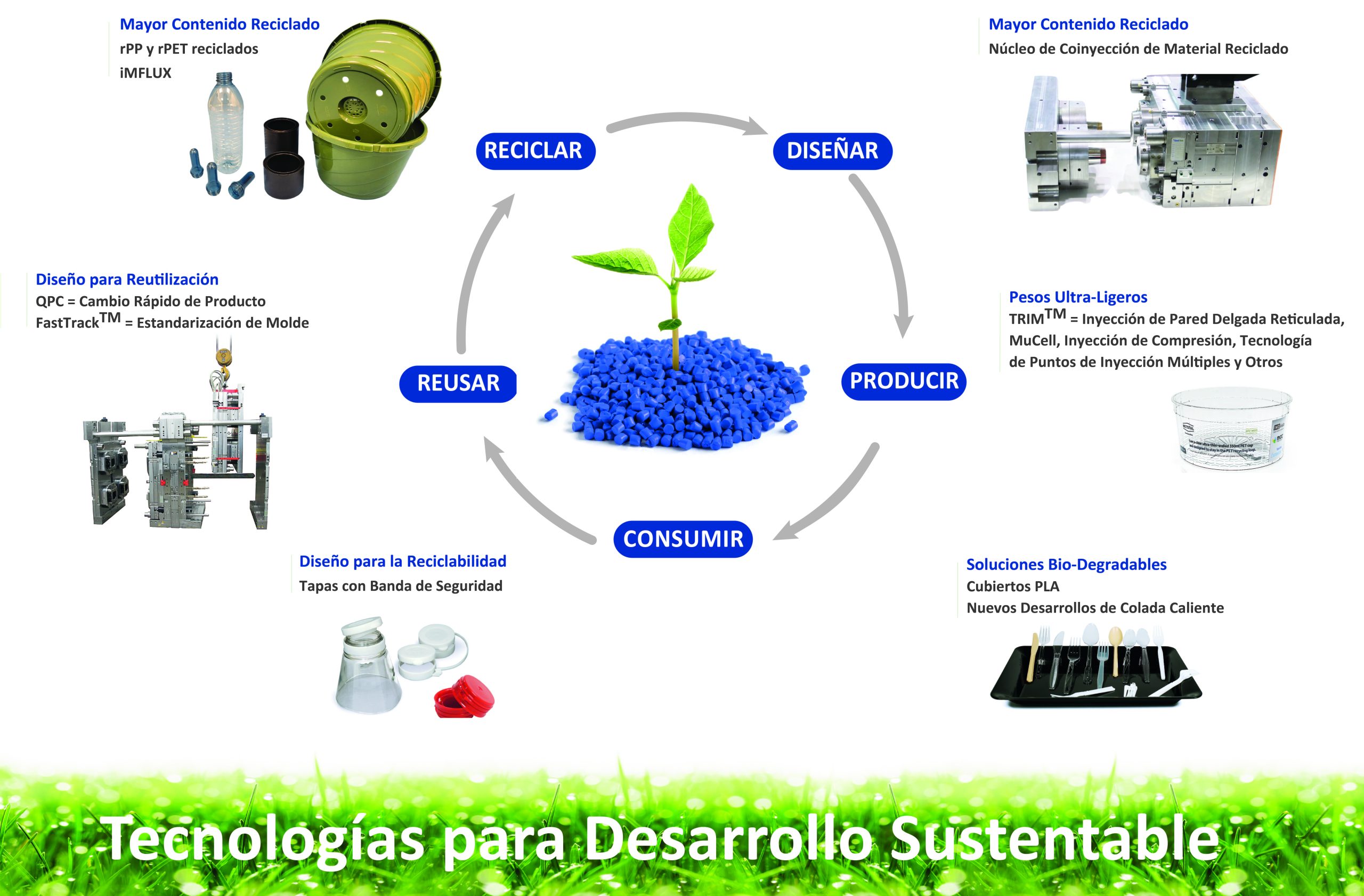 Sustentabilidad Graphic